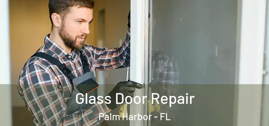  Glass Door Repair Palm Harbor - FL