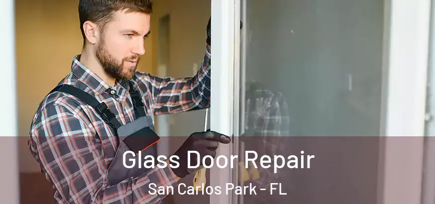 Glass Door Repair San Carlos Park - FL