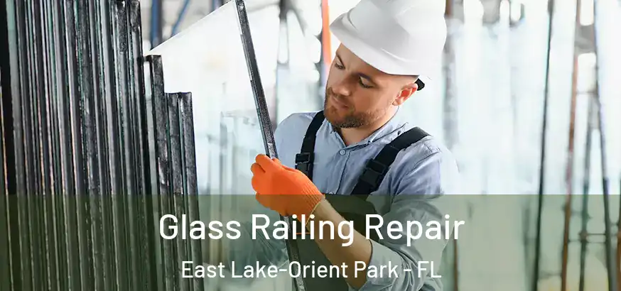  Glass Railing Repair East Lake-Orient Park - FL