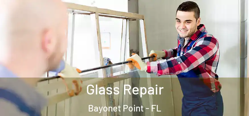 Glass Repair Bayonet Point - FL