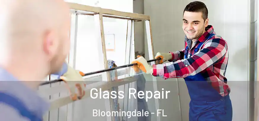  Glass Repair Bloomingdale - FL