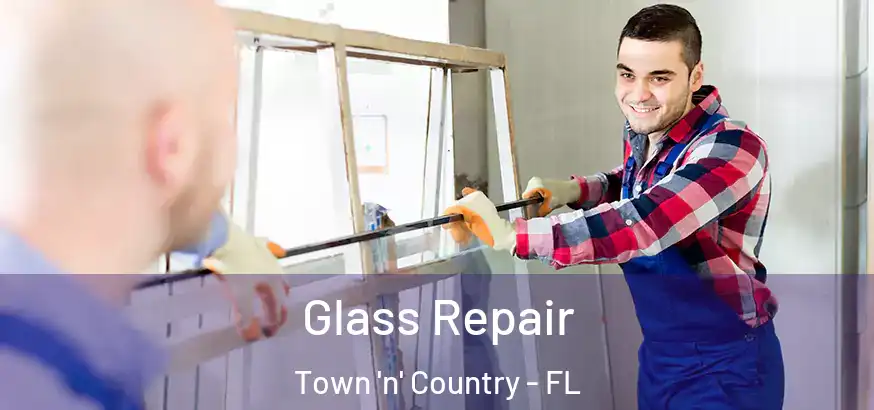  Glass Repair Town 'n' Country - FL
