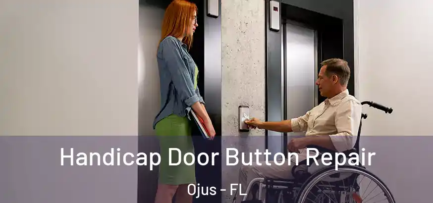  Handicap Door Button Repair Ojus - FL