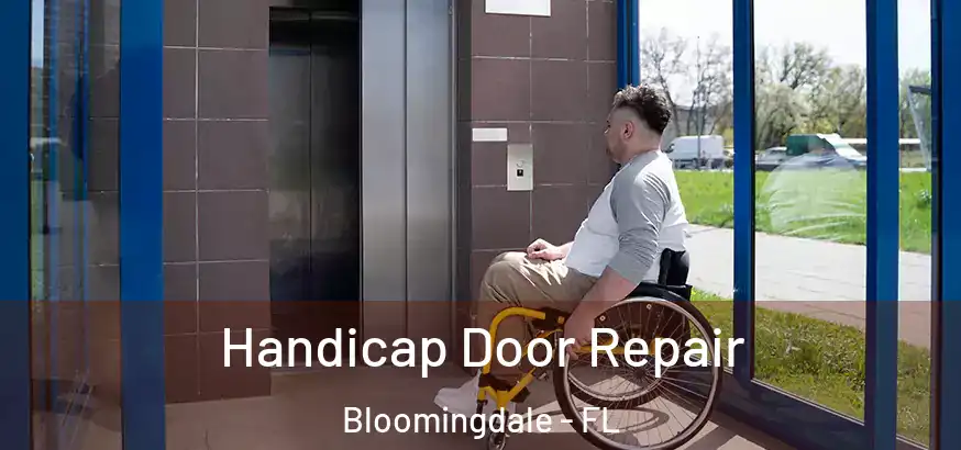  Handicap Door Repair Bloomingdale - FL