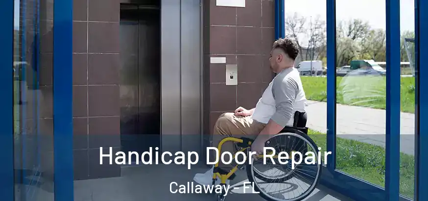  Handicap Door Repair Callaway - FL