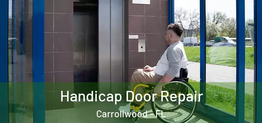  Handicap Door Repair Carrollwood - FL