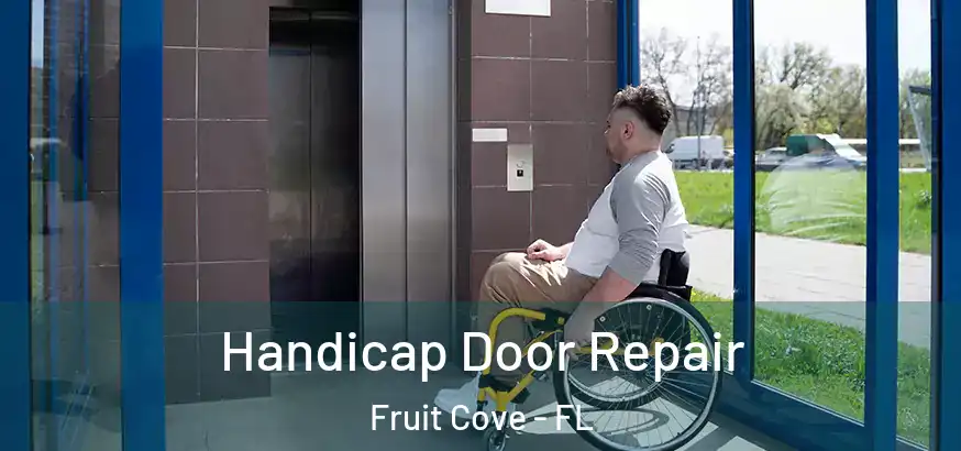  Handicap Door Repair Fruit Cove - FL