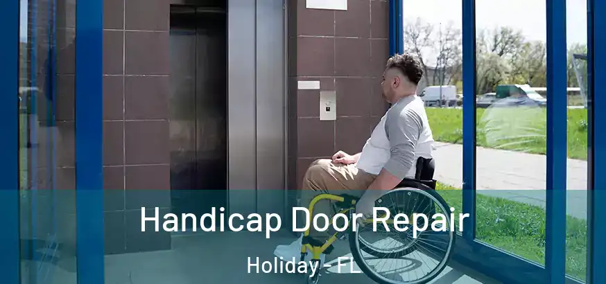 Handicap Door Repair Holiday - FL