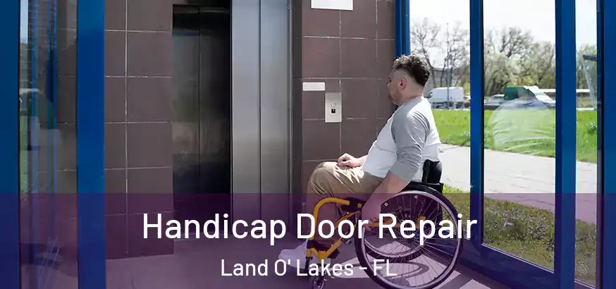  Handicap Door Repair Land O' Lakes - FL