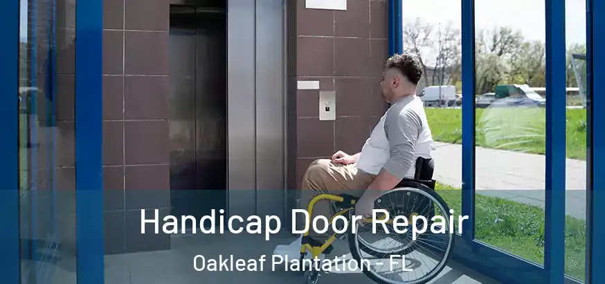  Handicap Door Repair Oakleaf Plantation - FL