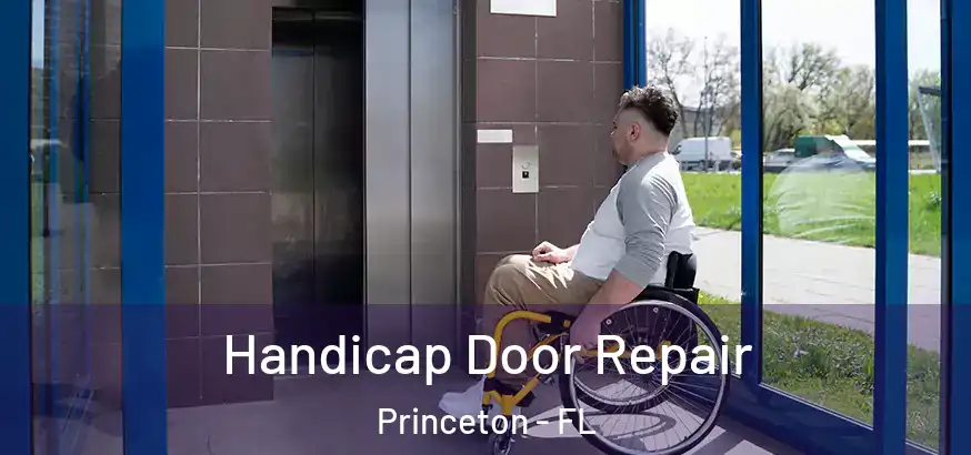  Handicap Door Repair Princeton - FL