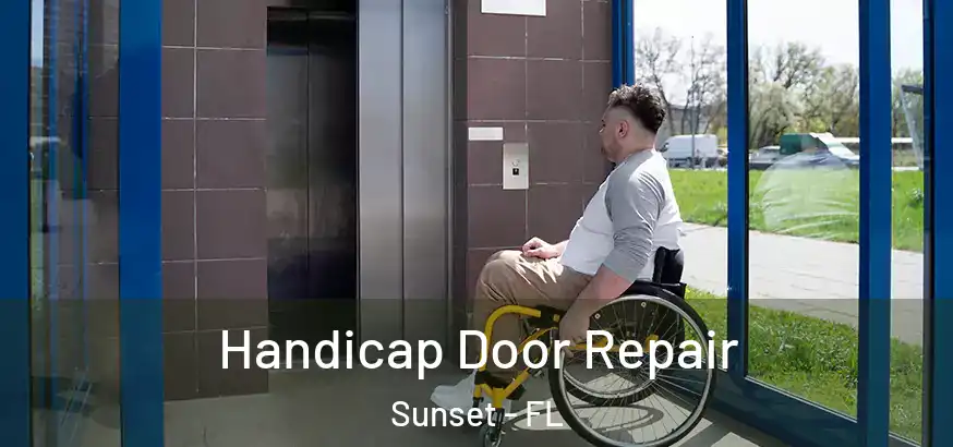  Handicap Door Repair Sunset - FL