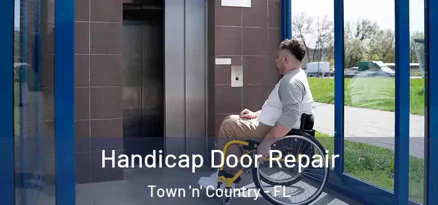  Handicap Door Repair Town 'n' Country - FL