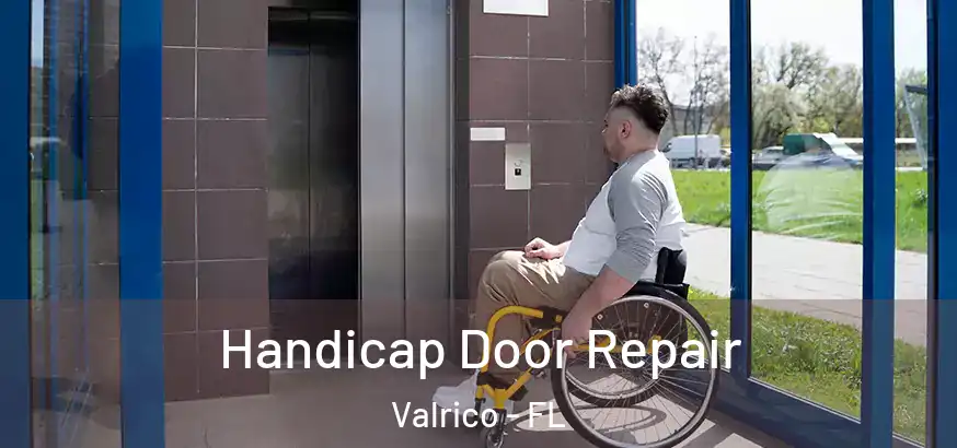  Handicap Door Repair Valrico - FL