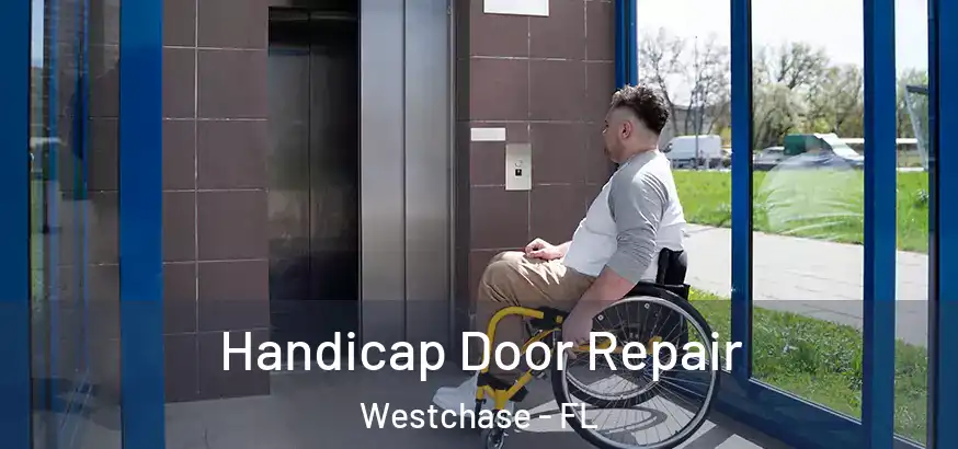 Handicap Door Repair Westchase - FL