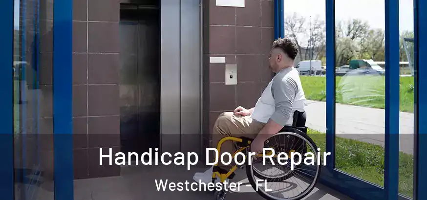  Handicap Door Repair Westchester - FL