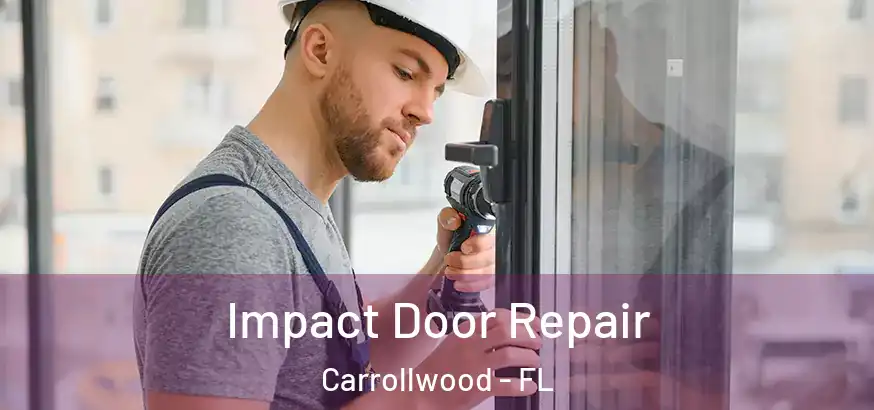  Impact Door Repair Carrollwood - FL