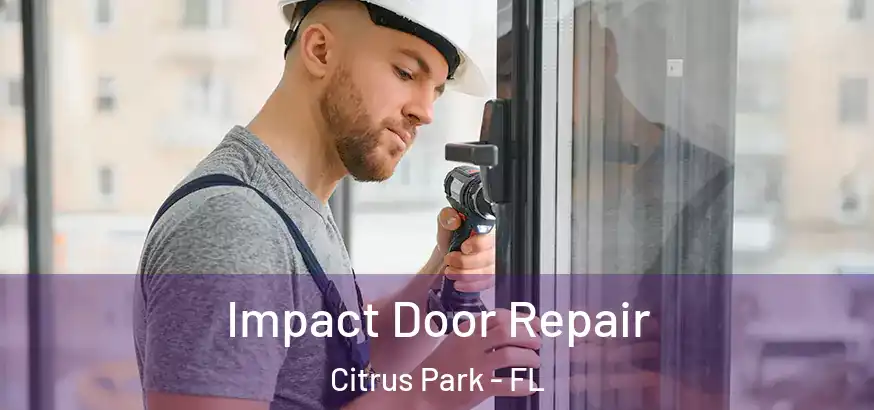  Impact Door Repair Citrus Park - FL