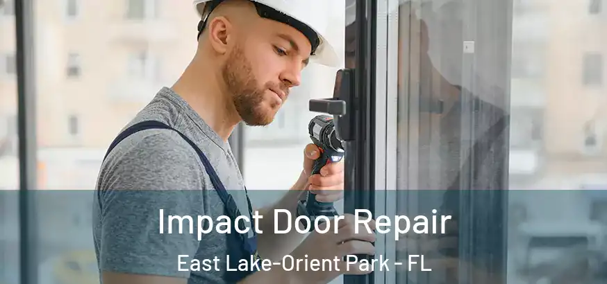  Impact Door Repair East Lake-Orient Park - FL