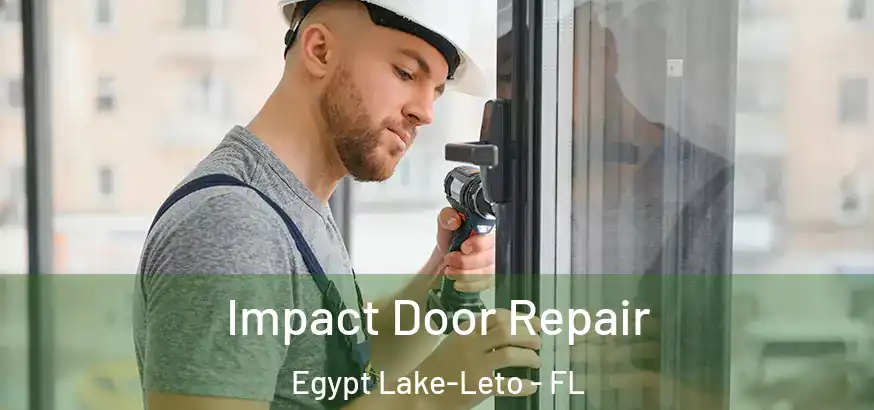  Impact Door Repair Egypt Lake-Leto - FL