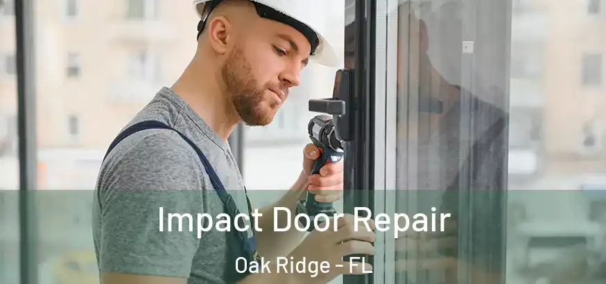Impact Door Repair Oak Ridge - FL