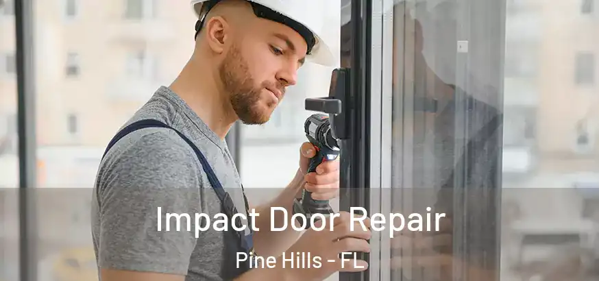  Impact Door Repair Pine Hills - FL