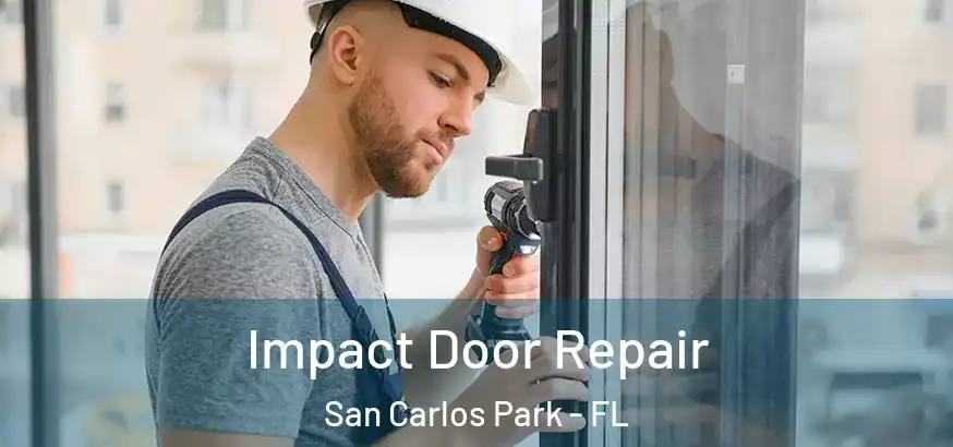  Impact Door Repair San Carlos Park - FL