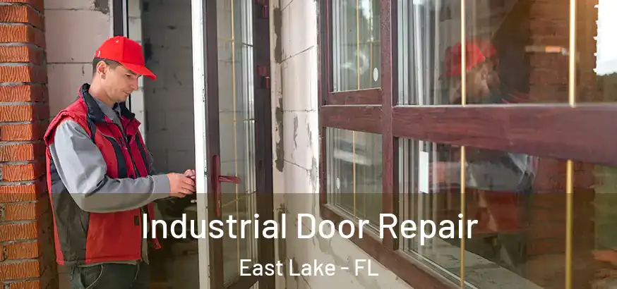  Industrial Door Repair East Lake - FL