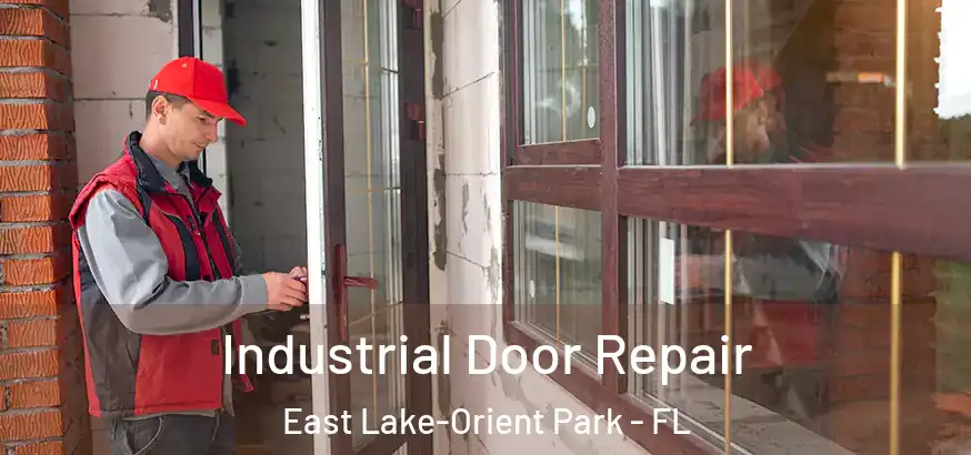  Industrial Door Repair East Lake-Orient Park - FL