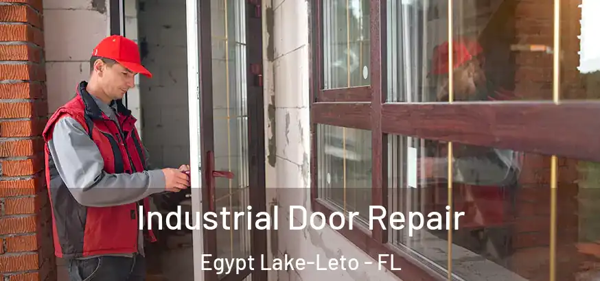  Industrial Door Repair Egypt Lake-Leto - FL