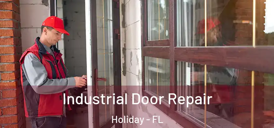  Industrial Door Repair Holiday - FL