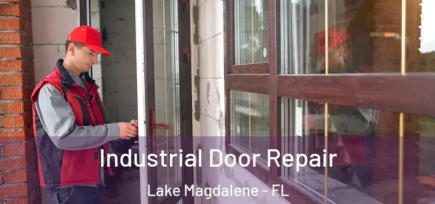  Industrial Door Repair Lake Magdalene - FL