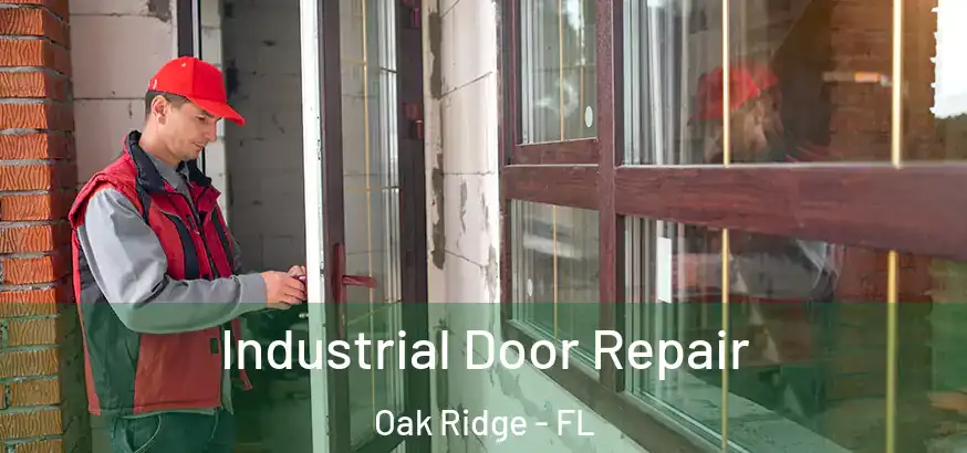 Industrial Door Repair Oak Ridge - FL