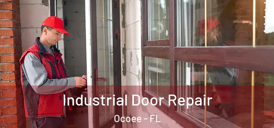  Industrial Door Repair Ocoee - FL