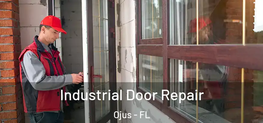  Industrial Door Repair Ojus - FL