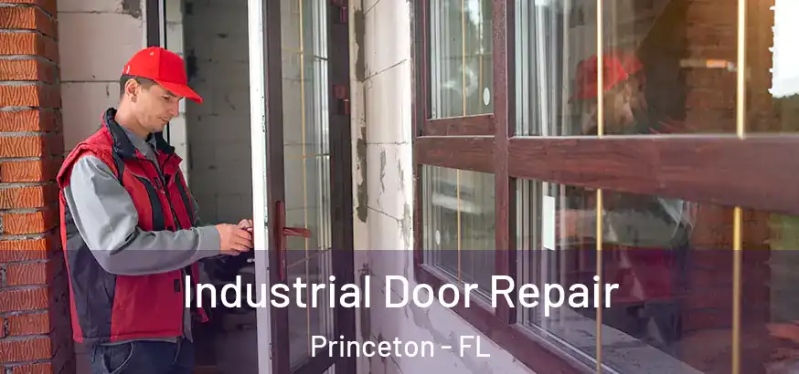  Industrial Door Repair Princeton - FL