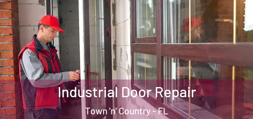  Industrial Door Repair Town 'n' Country - FL