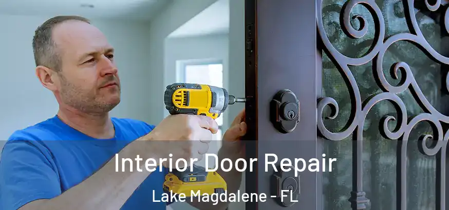 Interior Door Repair Lake Magdalene - FL