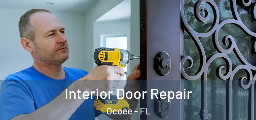  Interior Door Repair Ocoee - FL