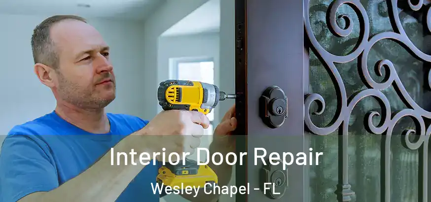  Interior Door Repair Wesley Chapel - FL