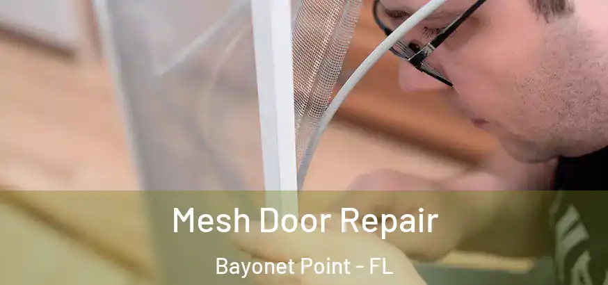 Mesh Door Repair Bayonet Point - FL
