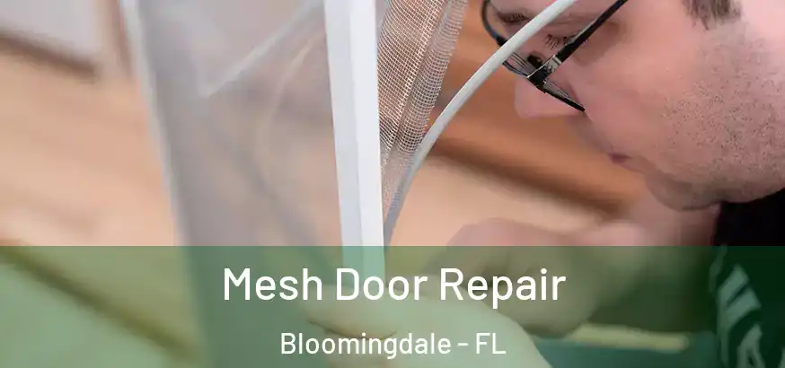  Mesh Door Repair Bloomingdale - FL