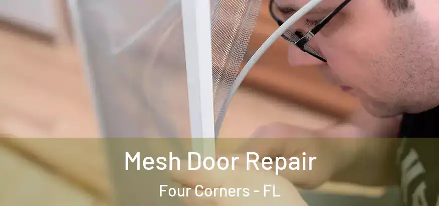  Mesh Door Repair Four Corners - FL