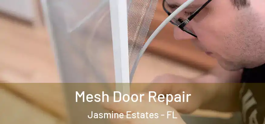  Mesh Door Repair Jasmine Estates - FL