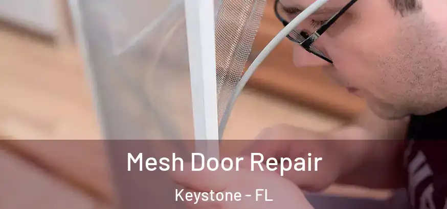  Mesh Door Repair Keystone - FL
