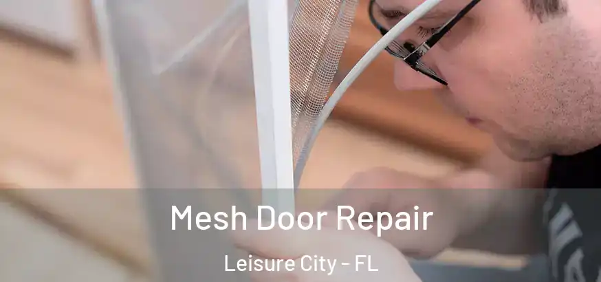  Mesh Door Repair Leisure City - FL