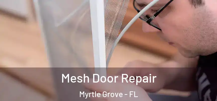 Mesh Door Repair Myrtle Grove - FL