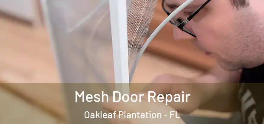 Mesh Door Repair Oakleaf Plantation - FL