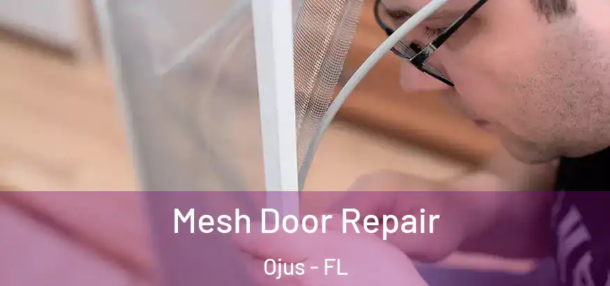  Mesh Door Repair Ojus - FL