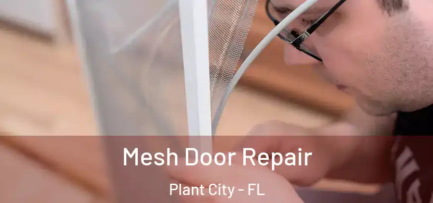 Mesh Door Repair Plant City - FL